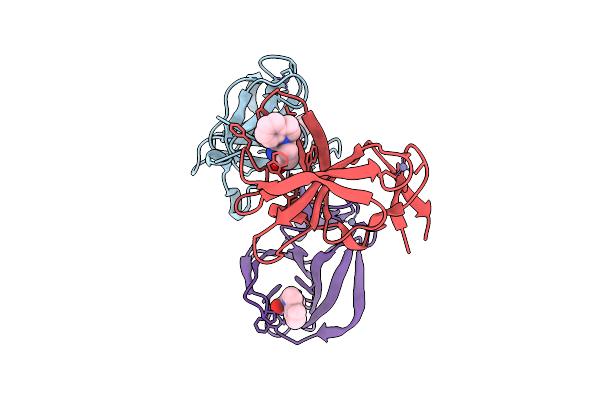 9HTO image