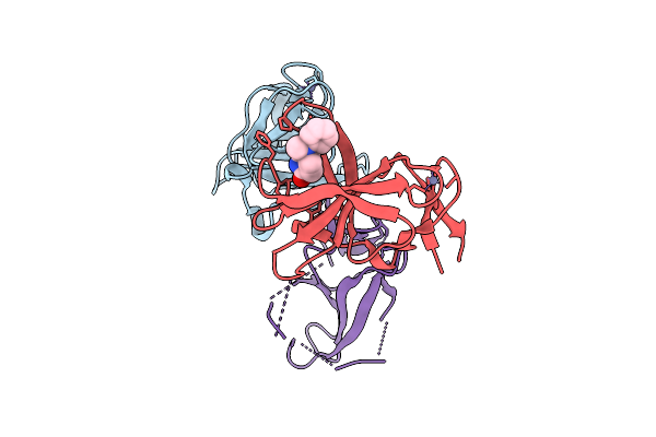 9HTP image