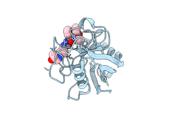 9HTR image