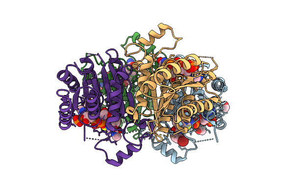 9HUV image
