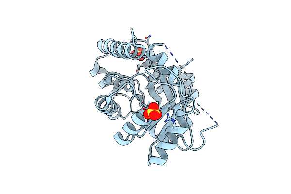 9HVB image