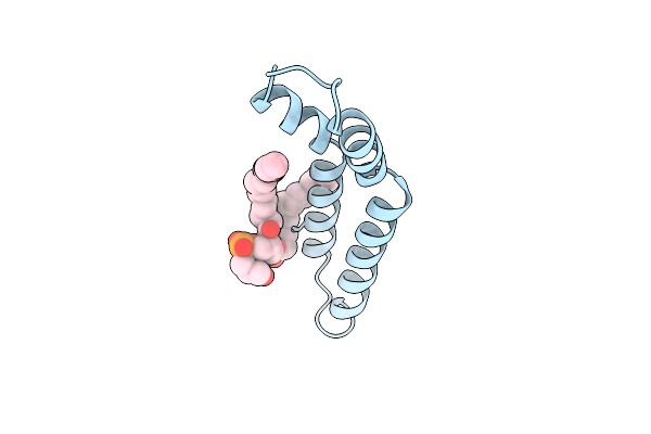 9HVC image