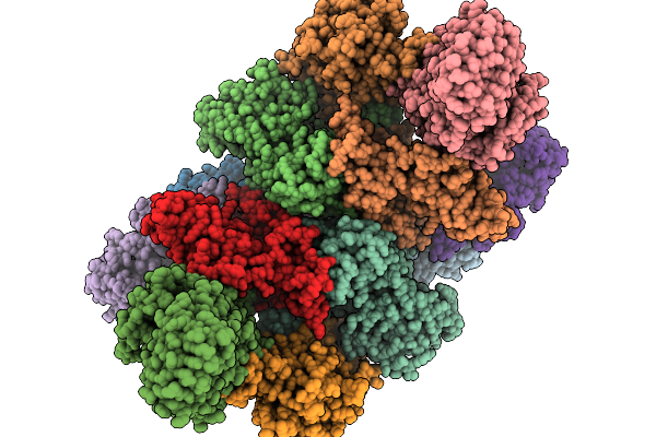 9HVD image