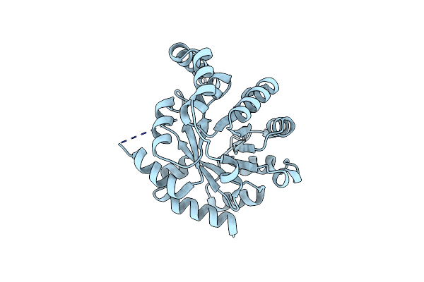 9HVG image