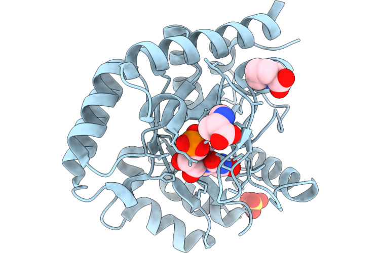 9HVS image