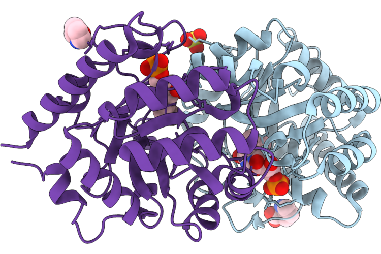9HVU image