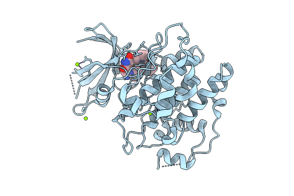 9HVX image