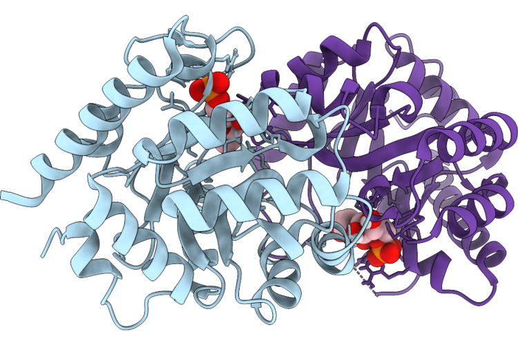 9HW8 image