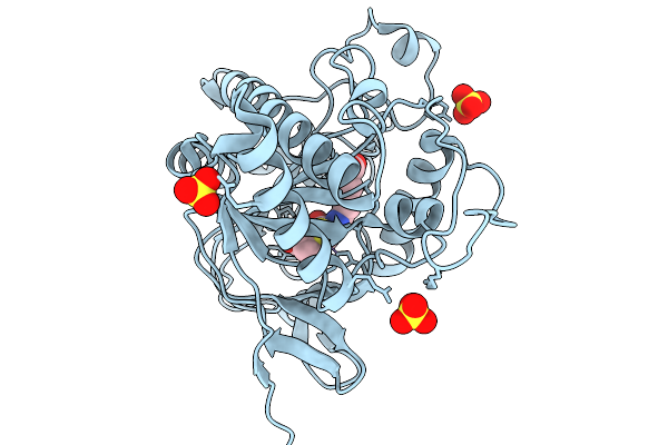 9HWF image
