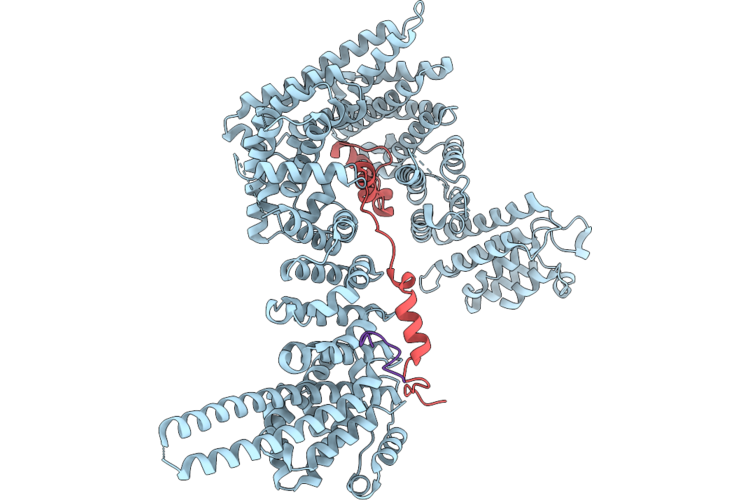 9HX9 image
