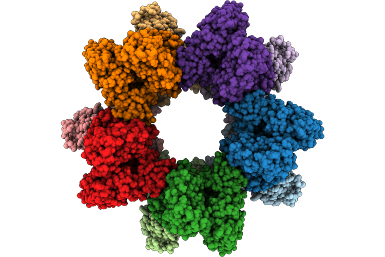 9HXB image