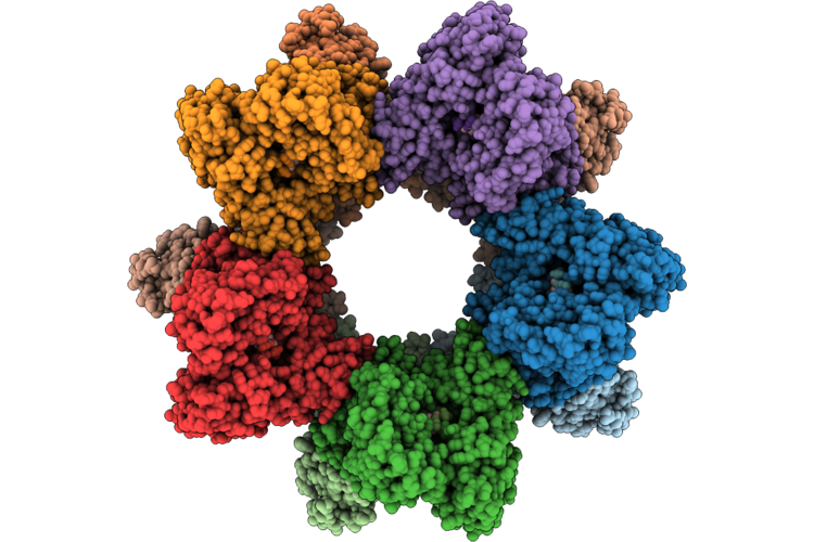 9HXG image
