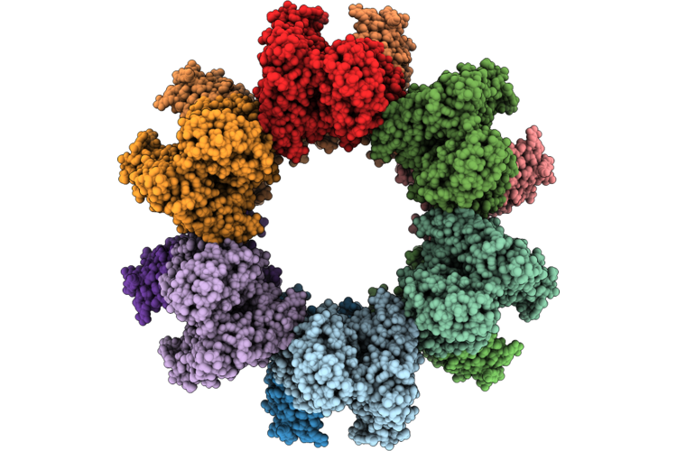 9HXJ image