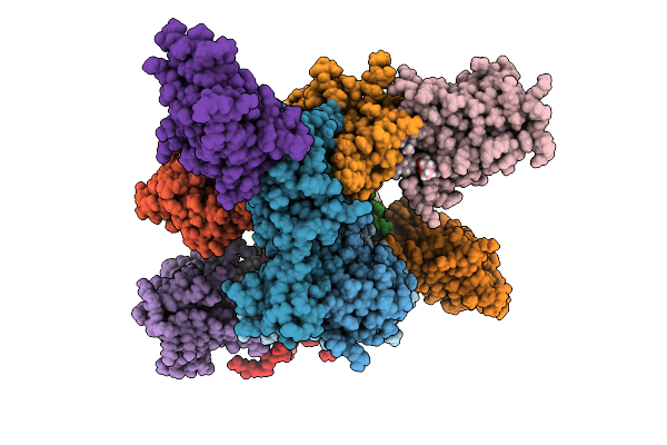 9HYB image