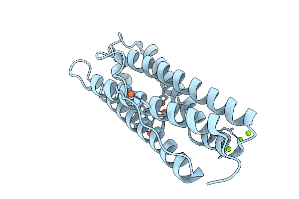 9HYC image
