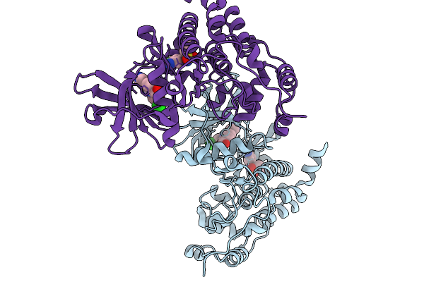 9HYH image