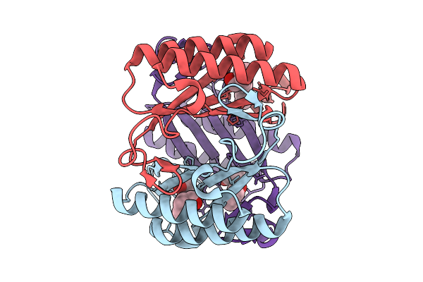 9HZI image