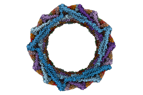 9HZO image