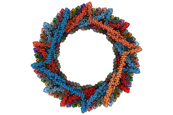 9HZP image