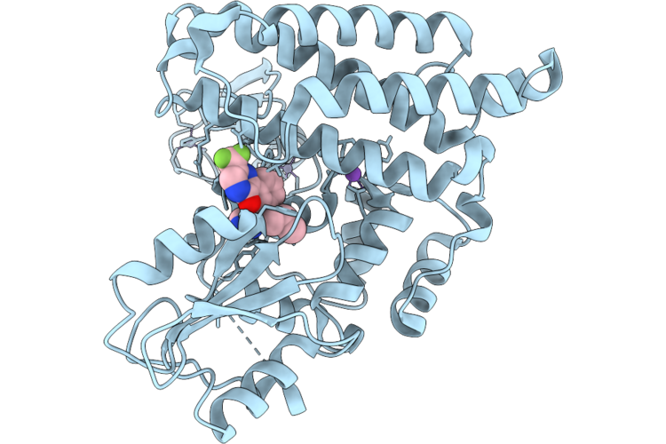 9I0B image