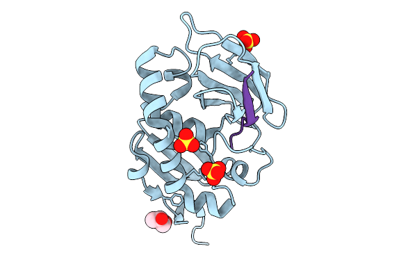 9I0E image