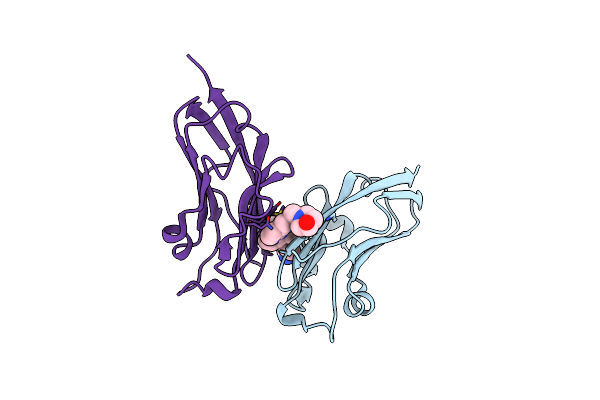 9I0W image