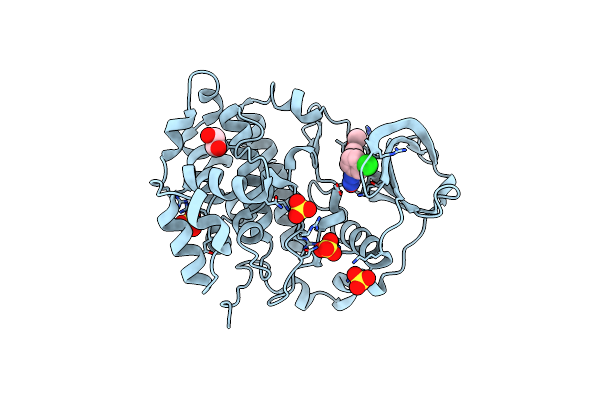 9I17 image
