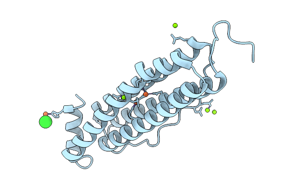 9I19 image