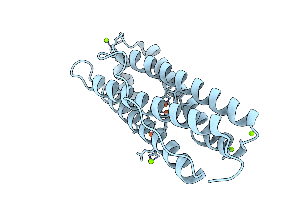 9I1D image