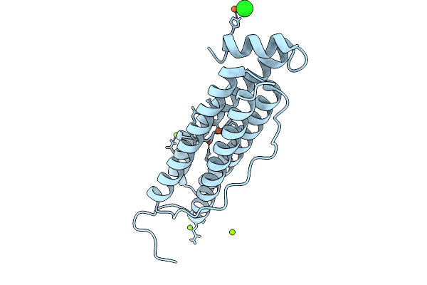 9I1E image