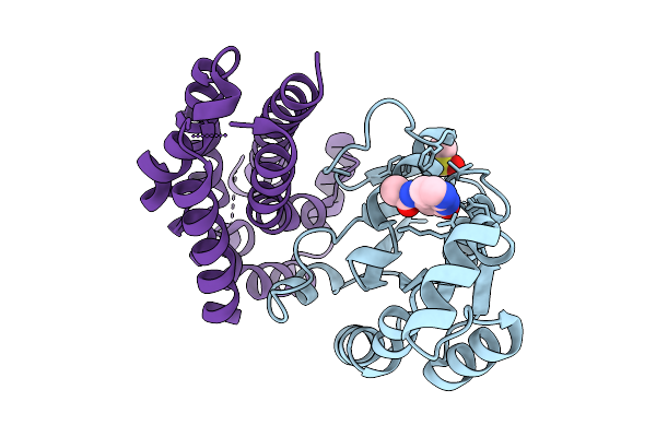9I1L image