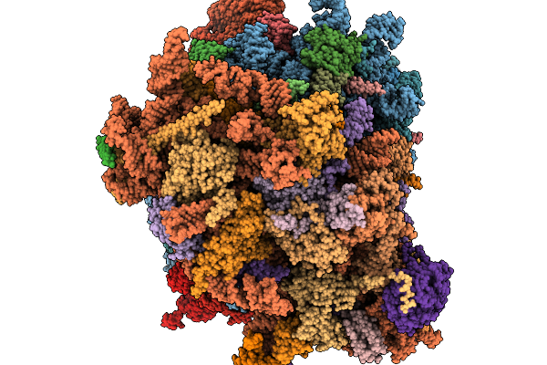 9I2D image