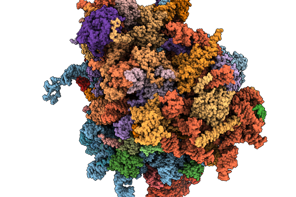 9I2E image