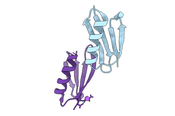 9I2I image