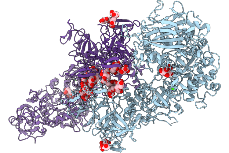 9I2J image