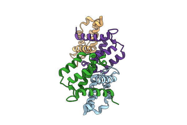 9I2N image