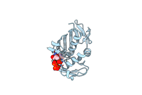 9I2O image