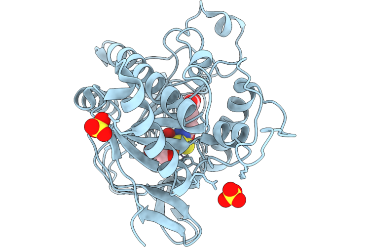 9I3C image