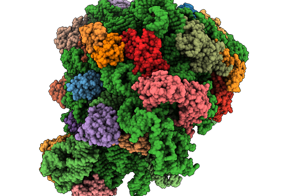 9I3L image