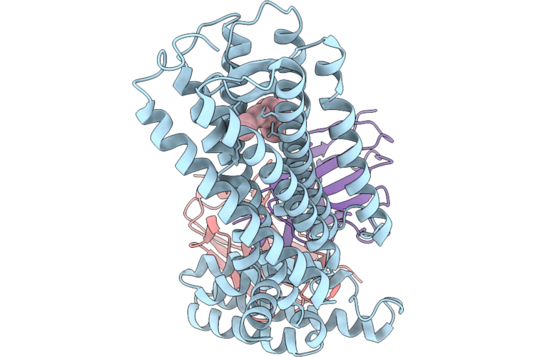 9I3T image