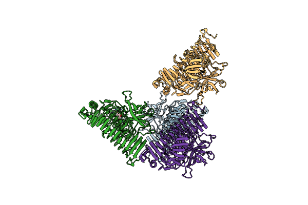 9I4F image
