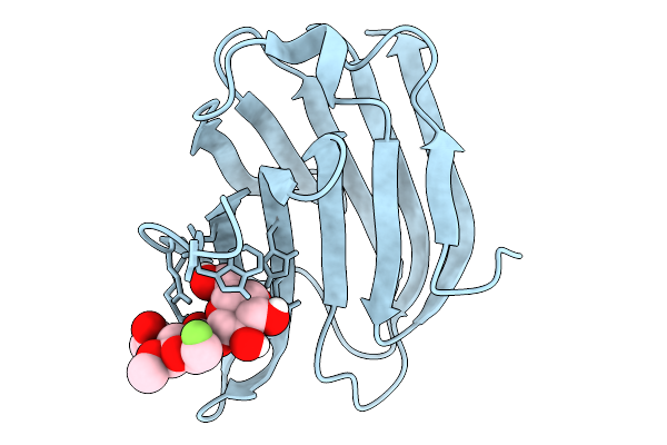 9I4N image