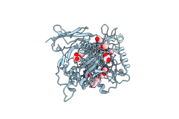 9I4Z image