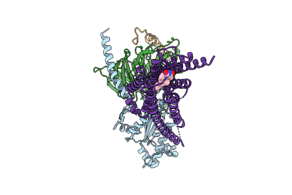 9I52 image