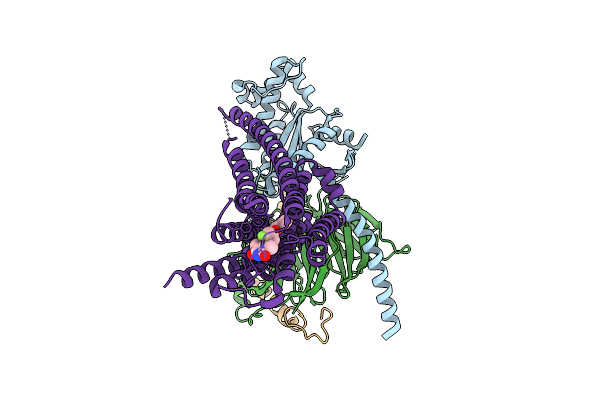 9I54 image