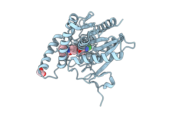 9I5J image
