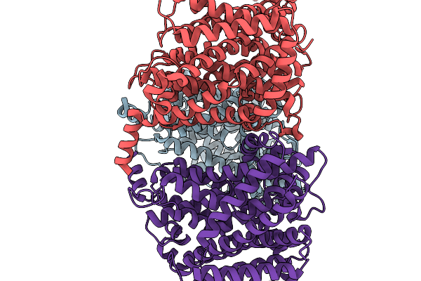 9I5Z image