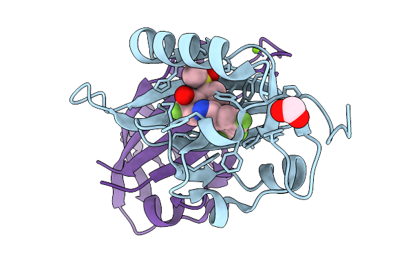 9I64 image