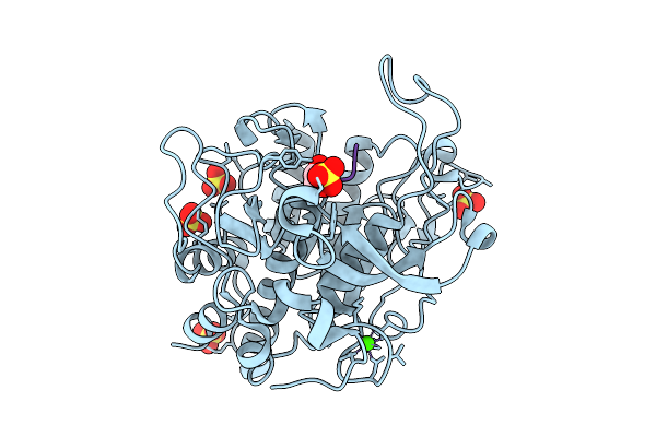 9I6C image