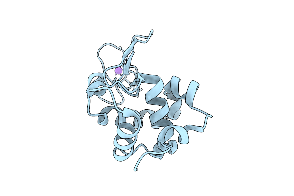 9I6P image